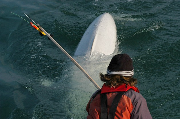 sci-BLV031010_1079-grm