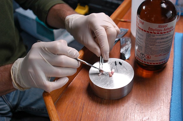 sci-BLV050915_2012-grm