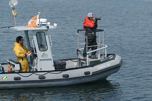 sci-BLV070619_1033-grm