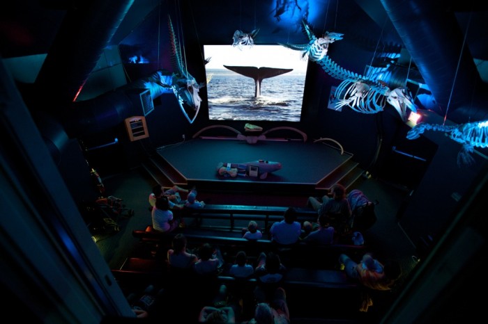 La salle de projection du CIMM