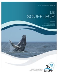 Bulletin annuel - 2019