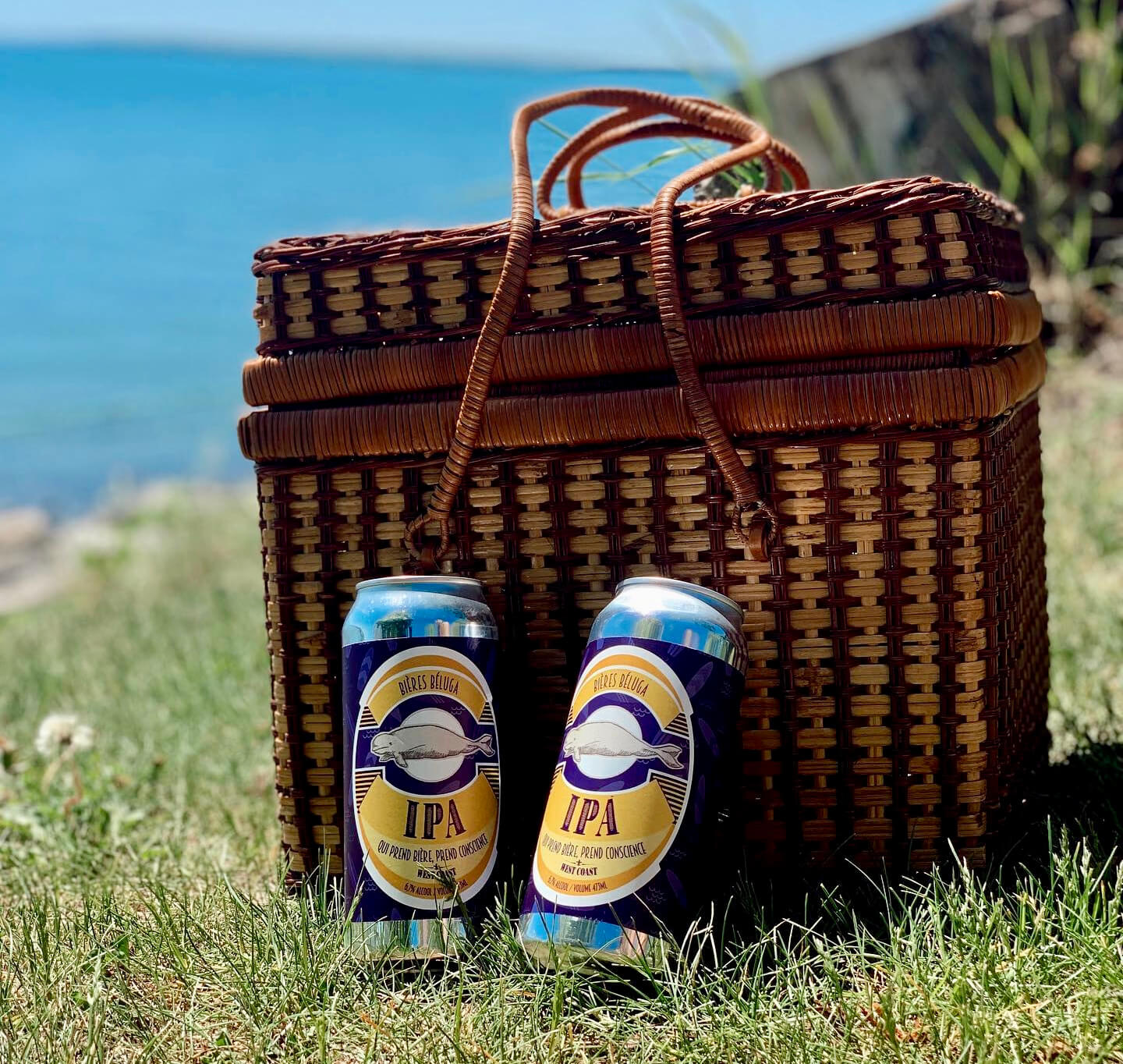 Panier osier et canettes